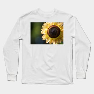 Sunflower Series V Long Sleeve T-Shirt